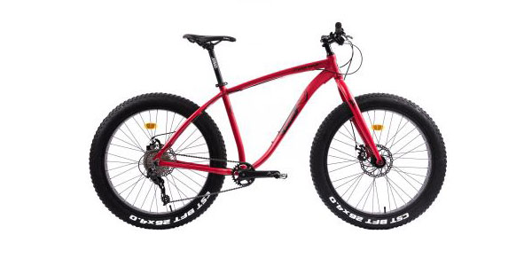 Bicicleta mountain bike Pegas Suprem